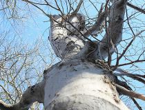 möchte erzählen (2).jpg