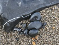 Steingeschichten 4.jpg