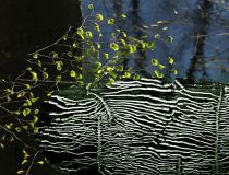 7 Holzbock arbeitet.jpg