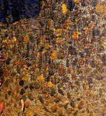 Beim Großen Buddha.jpg