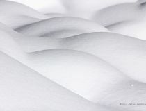 2 Schwingungen 2.jpg