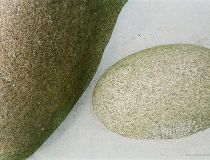 Zwei Steine im Sand, ein großer rechts und ein kleiner links