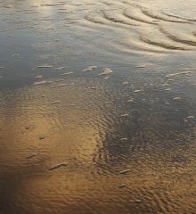 2 Vierte Dimension 1.jpg