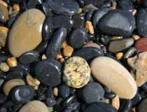 Liegen da einfach so.jpg