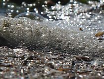 Wellen wollen rollen.jpg